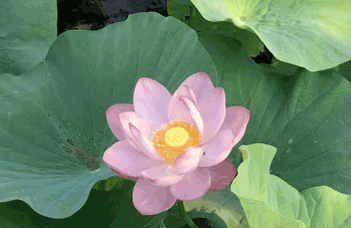 反滲透水處理設(shè)備的解決方案