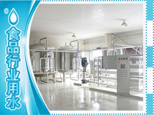 食品廠、水廠生產用水系列